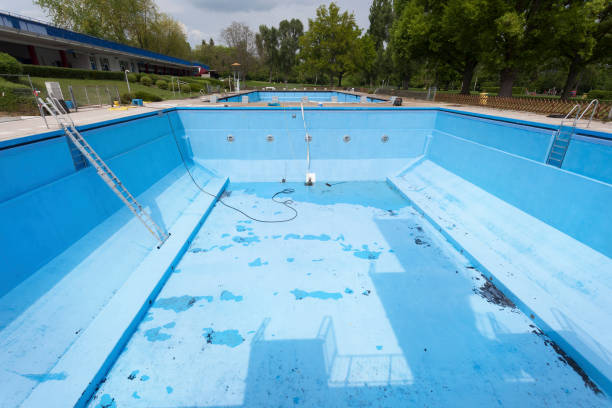 Best Water damage contractors near me  in Caryville, TN