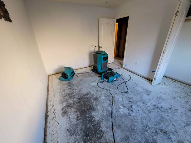 Trusted Caryville, TN Water damage restoration Experts