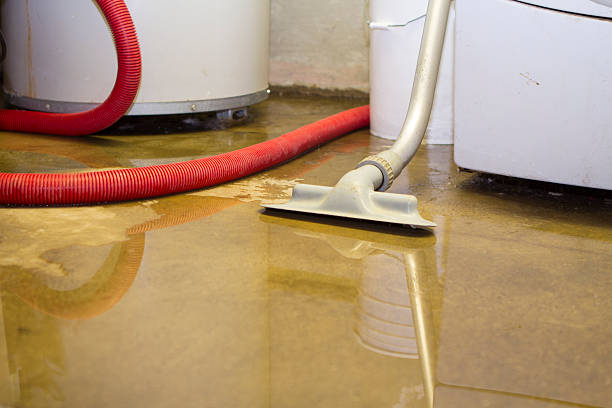 Best Water damage restoration specialists  in Caryville, TN