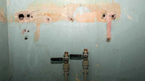 Best Ceiling water damage repair  in Caryville, TN