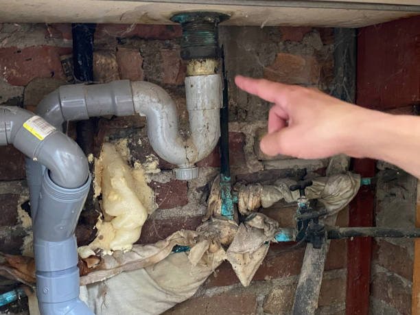 Best Water damage restoration process  in Caryville, TN