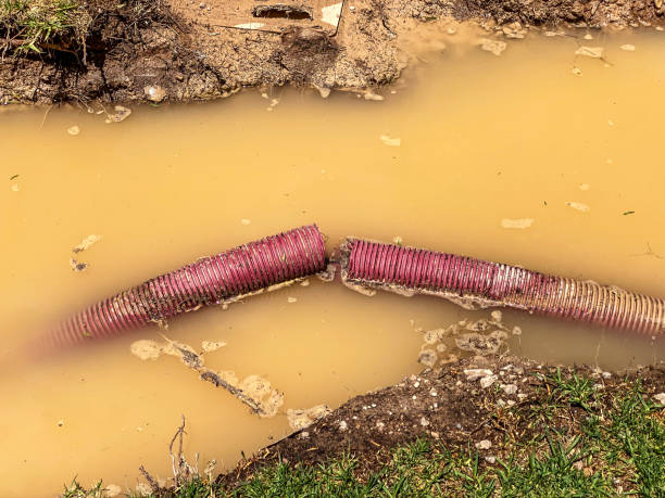  Caryville, TN Water damage restoration Pros